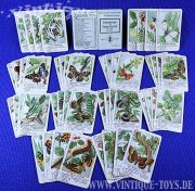 Interessantes Spielkarten-Konvolut mit sechs QUARTETTE zum Thema Natur, Flora und Fauna, verschiedene Hersteller, 30er-50er Jahre