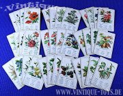 Interessantes Spielkarten-Konvolut mit sechs QUARTETTE zum Thema Natur, Flora und Fauna, verschiedene Hersteller, 30er-50er Jahre